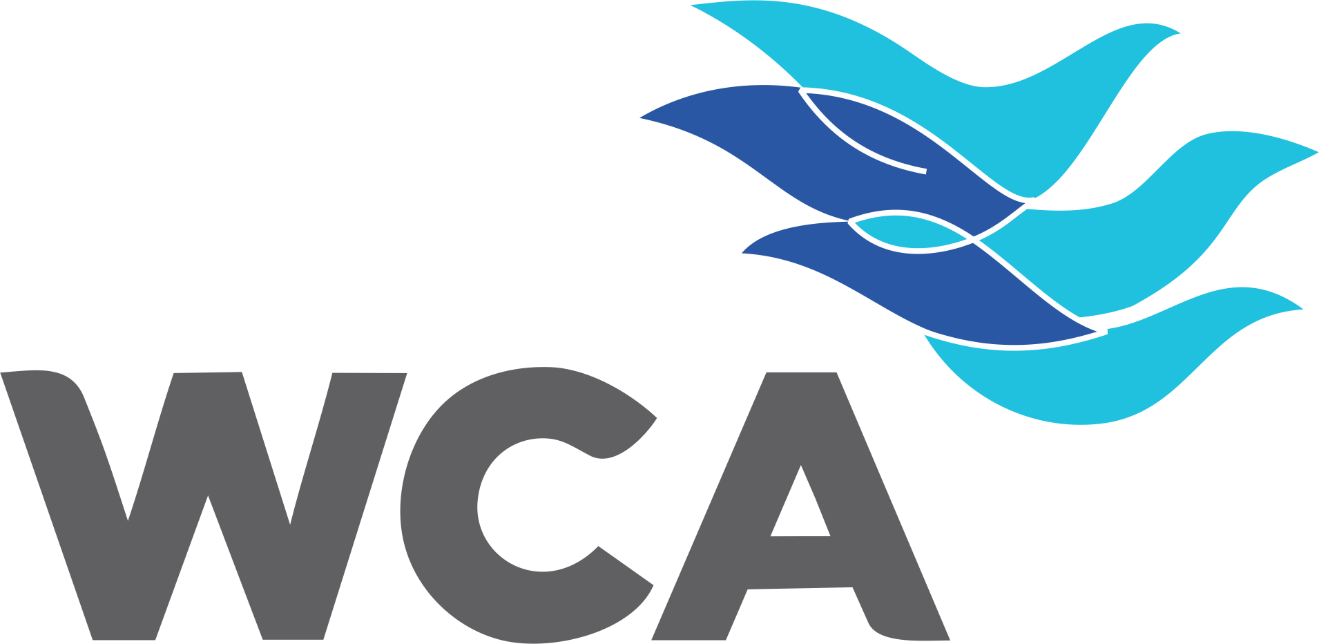 WCA WCA member